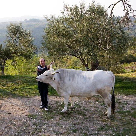 Tourist Farm Robivera Šmarje Exteriér fotografie